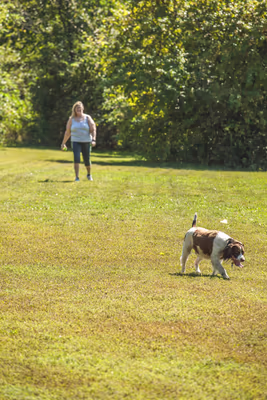 Canine Corners Dog Park at Searls Park photo 2